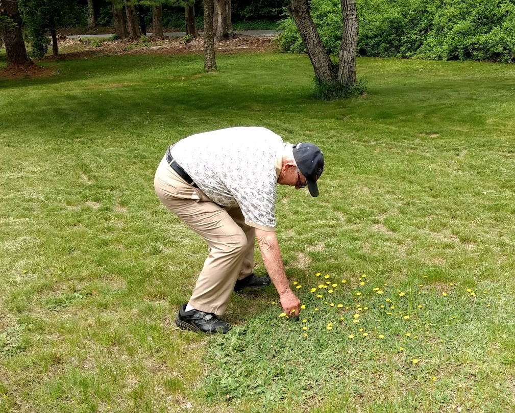 picking flowers